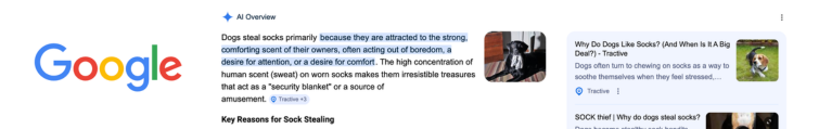 Google Search AI Overviews